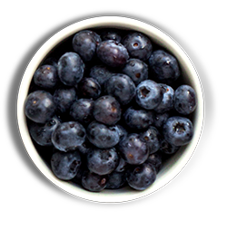 banner-image